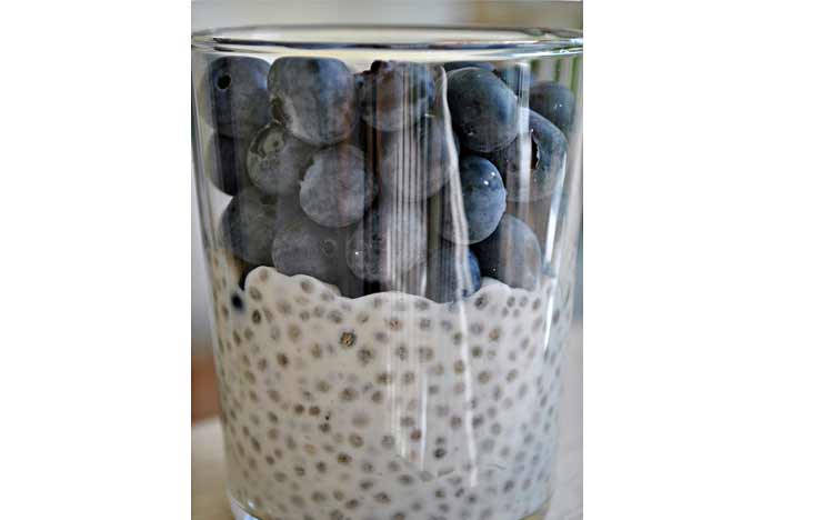 Caties-Organics-Whole-Plant-Foods-Chia-Seed-and-Blueberry-Dessert