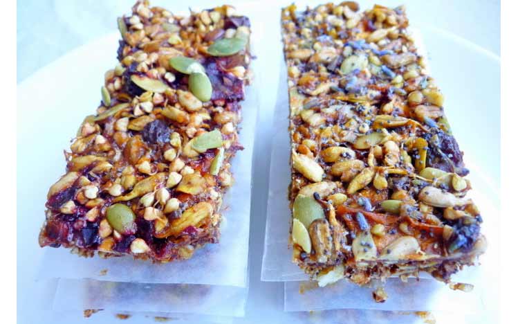Cures-In-The-Kitchen-Raw-Vegan-Apricot-Biscotti-Bars