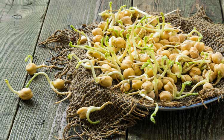 Cures-in-the-kitchen-Learn-to-Love-Sprouting